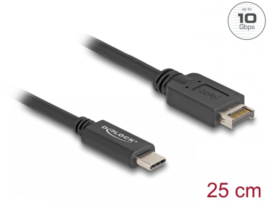 Cablu Delock USB E Key la USB-C, 25cm