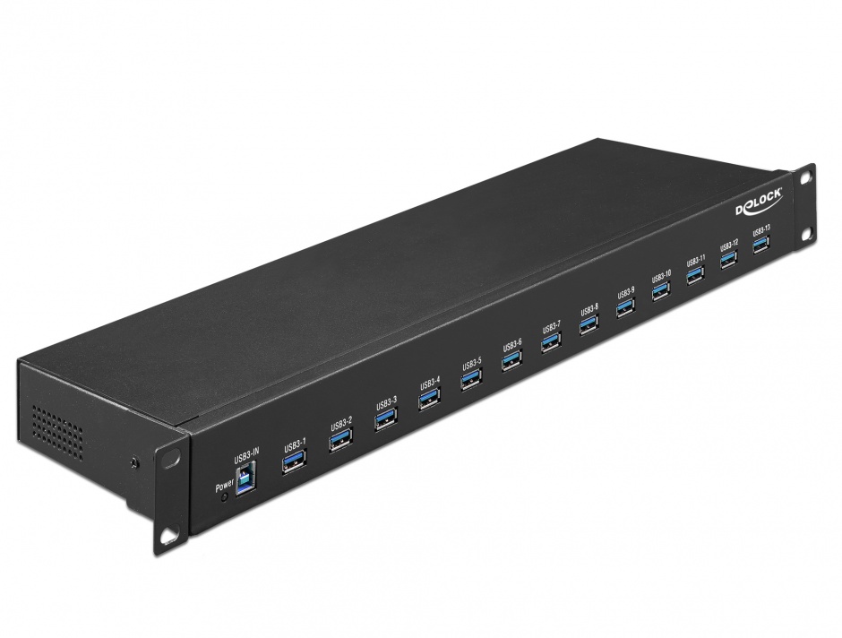 Hub Industrial 19" 13 Porturi USB 3.1 Delock