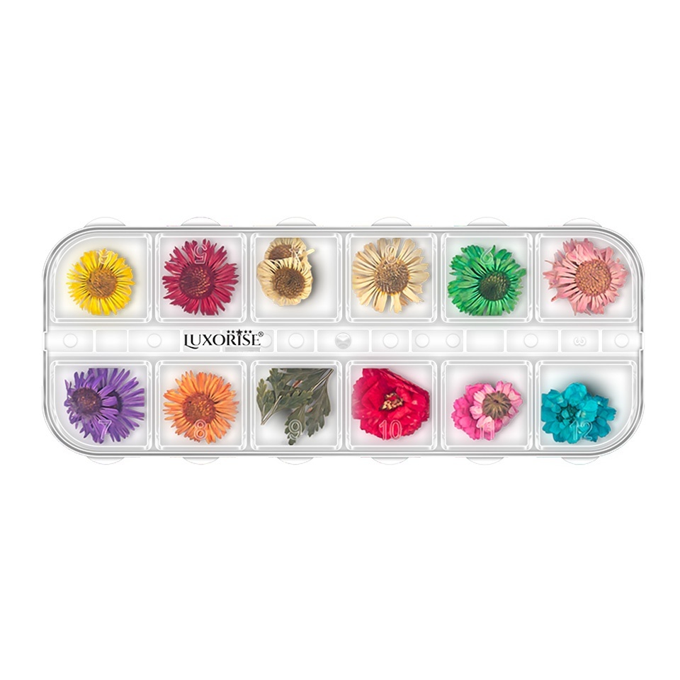 Flori Uscate Unghii LUXORISE - Flower Dream, 12 Modele - imagine 2