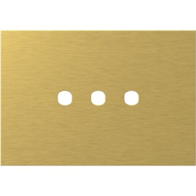 Rama metalică auriu 3M TEM Modul Edge