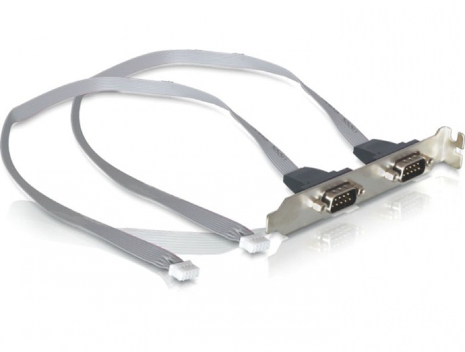 Bracket Delock 2x DB9 Serial MSI/VIA