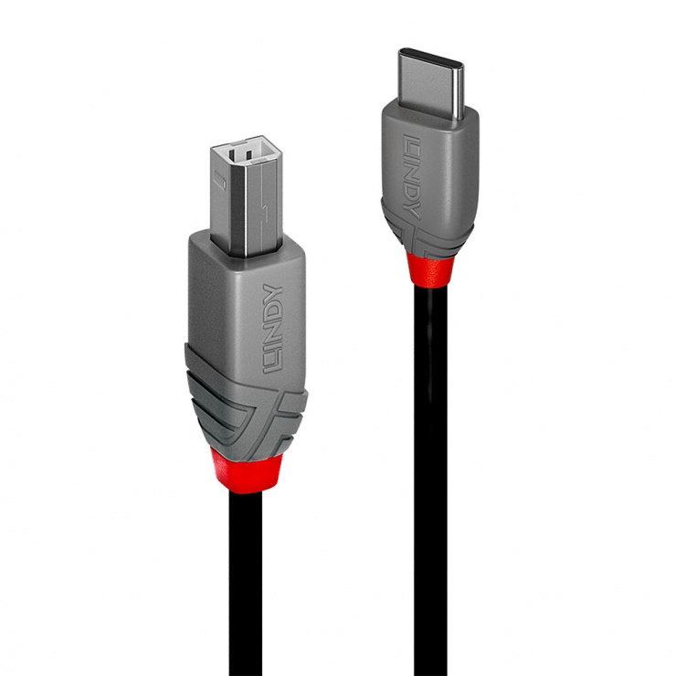 Cablu USB 2.0 Type C la USB-B Lindy, 2m