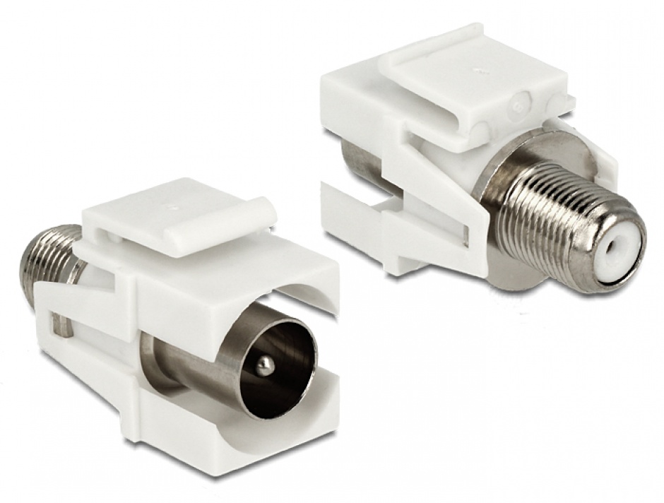 Modul Keystone Delock IEC la F T-M