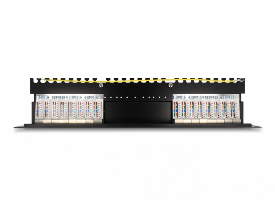 Patch Panel 19" 1U 16 Porturi Cat.6A Delock
