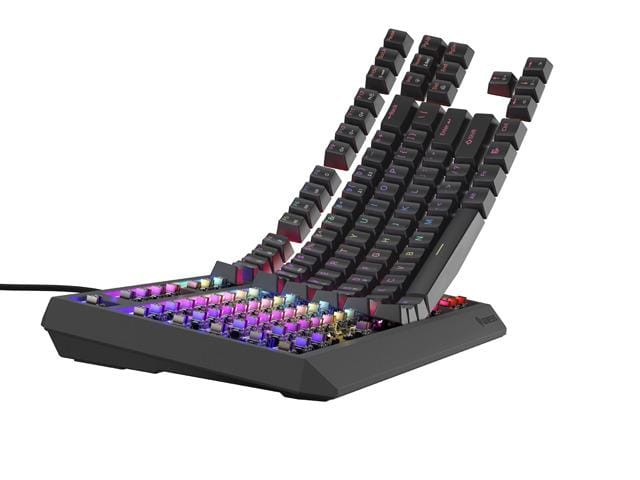 Tastatura Gaming Mecanica Genesis Thor 230 TKL RGB Outemu Brown - imagine 6