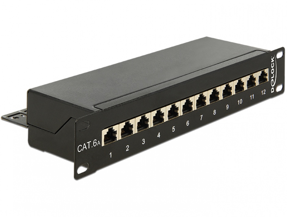 Patch Panel 12 Porturi Cat.6A Delock