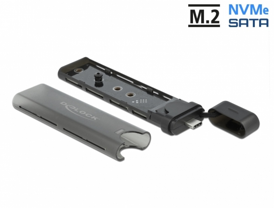 Delock Docking M.2 NVMe/SATA USB-C 10Gbps