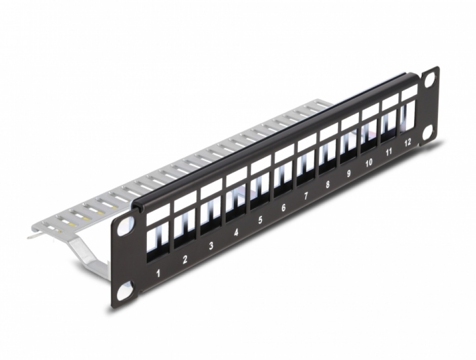 Patch Panel Delock 1U 12 Porturi Keystone Negru