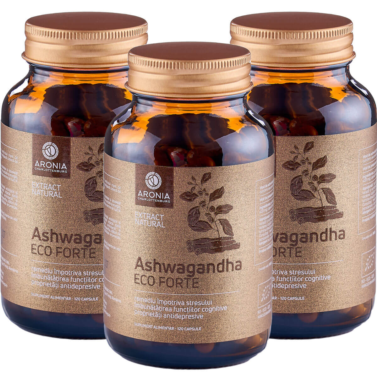 PROMO: 3 x Ashwagandha ECO Forte | Aronia Charlottenburg