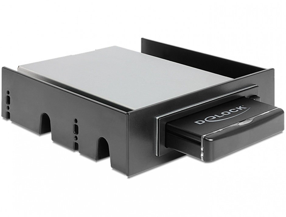 Rack Mobil Delock pentru HDD/SSD 2.5", USB 3.0 & SATA