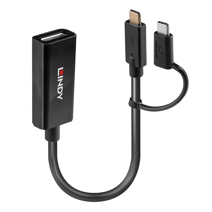 Adaptor USB-C la DP 4K Lindy Bidirectional