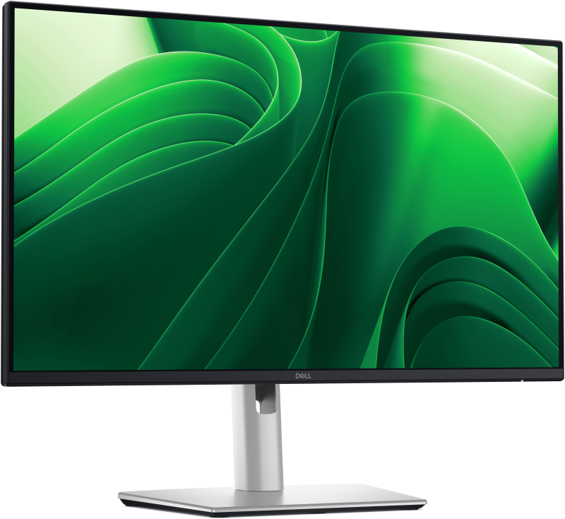 Monitor Dell PRO 24 P2425DE QHD 100Hz IPS 90W USB-C