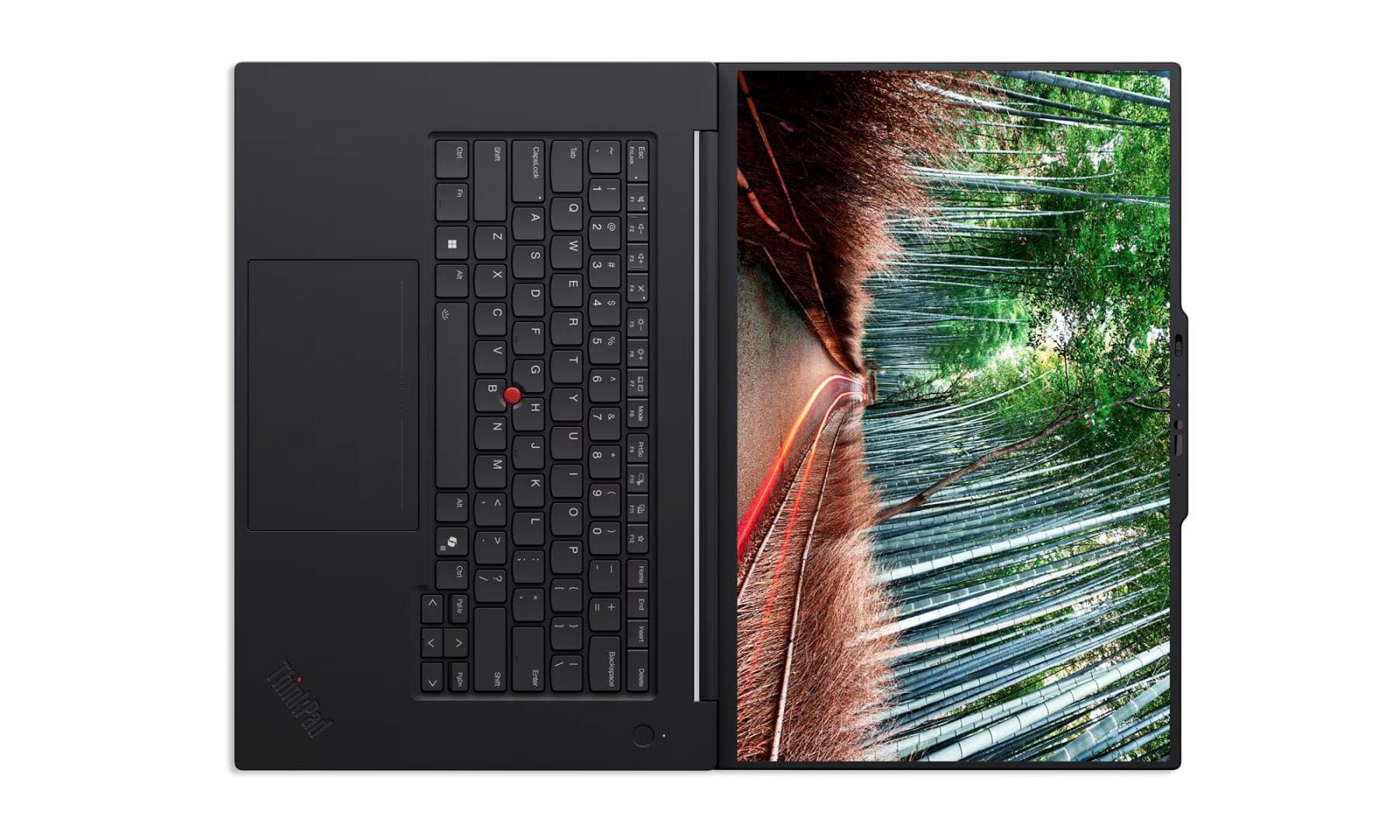 Laptop Lenovo ThinkPad T1g Gen 8 RTX 5060 | Profesional 16" - imagine 6