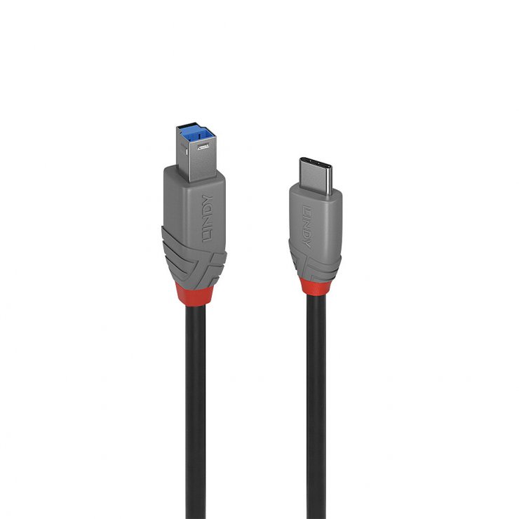 Cablu USB 3.2 Type C la USB-B Anthra Line 2m, Lindy L36667
