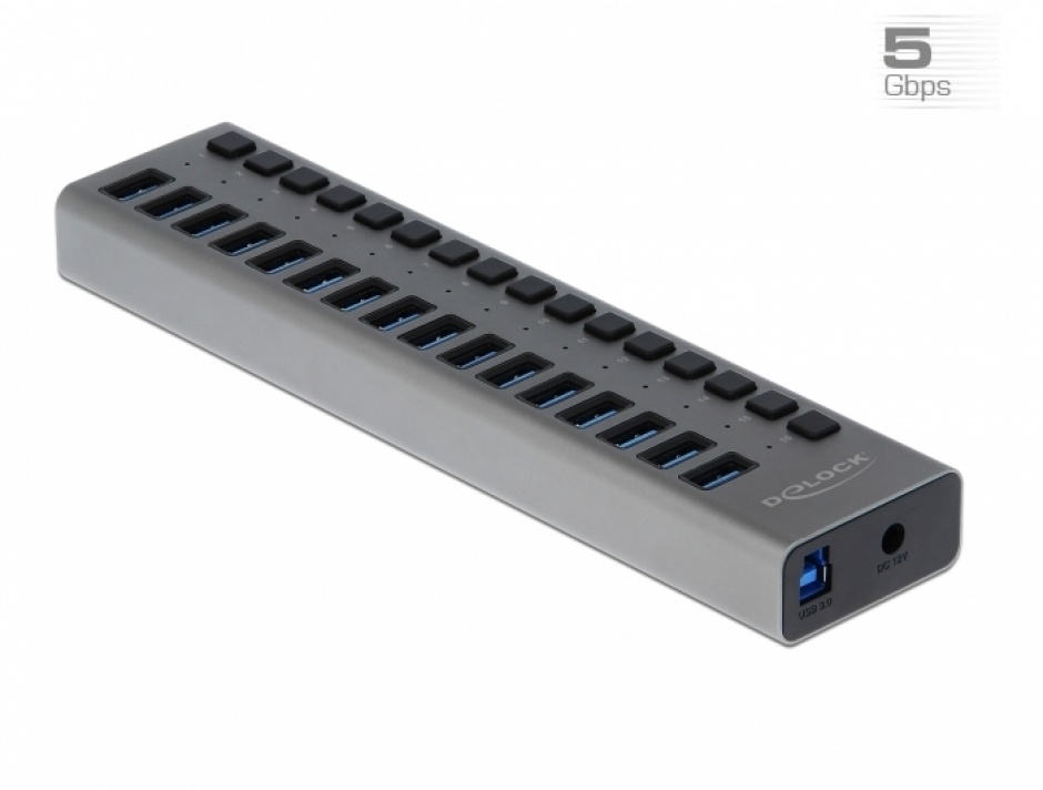 Hub USB 3.0 16 Porturi Delock cu On/Off