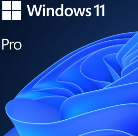 Licență Microsoft Windows 11 Pro N 64-bit - Originală - imagine 2