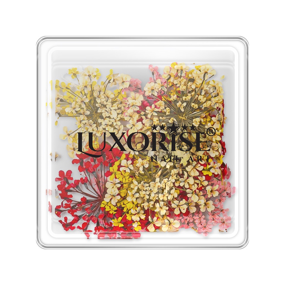Flori Uscate Unghii Luxorise Mystic Flowers
