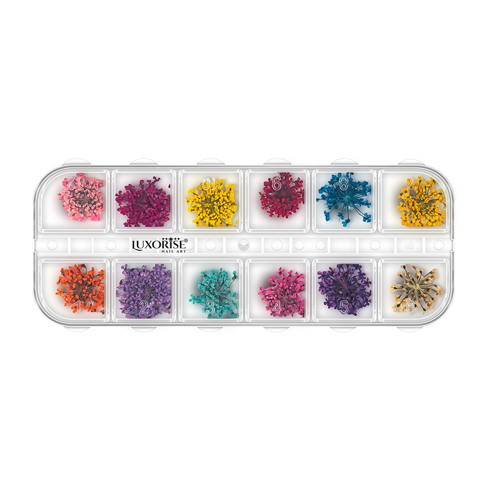 Flori Uscate Unghii LUXORISE - Flower Romance, 12 Modele