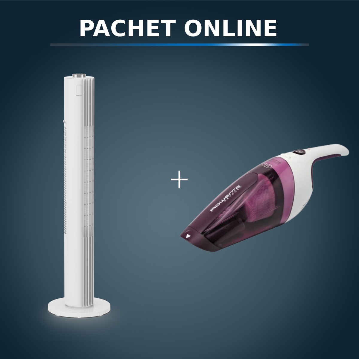 Pachet Rowenta Fan + Aspirator de Mână Promo