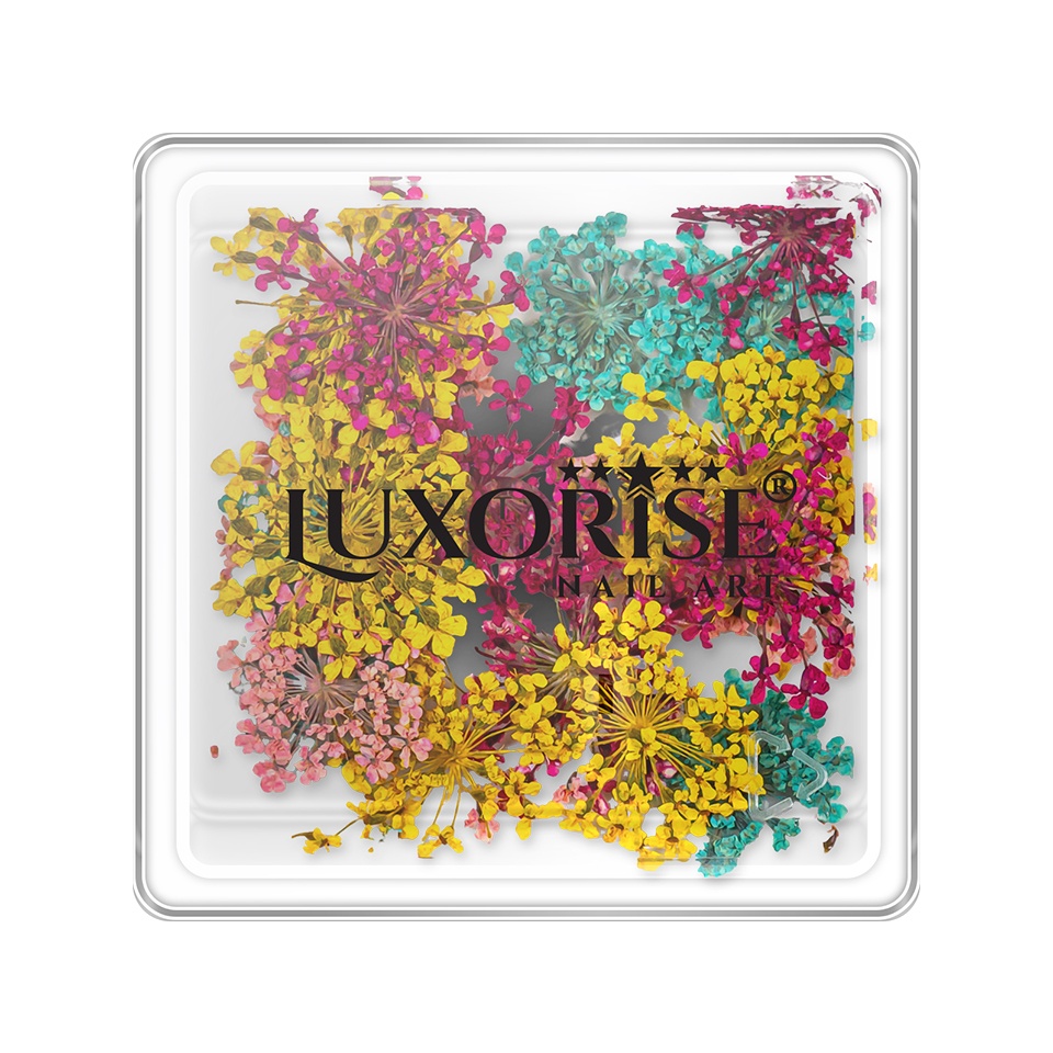 Flori Uscate Unghii Luxorise Summer Mirage | Design Natural