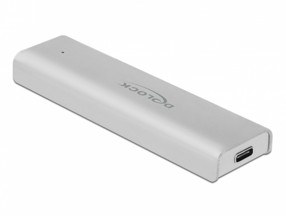 Rack Extern USB 3.2 Gen 2-C Delock pentru SSD NVMe