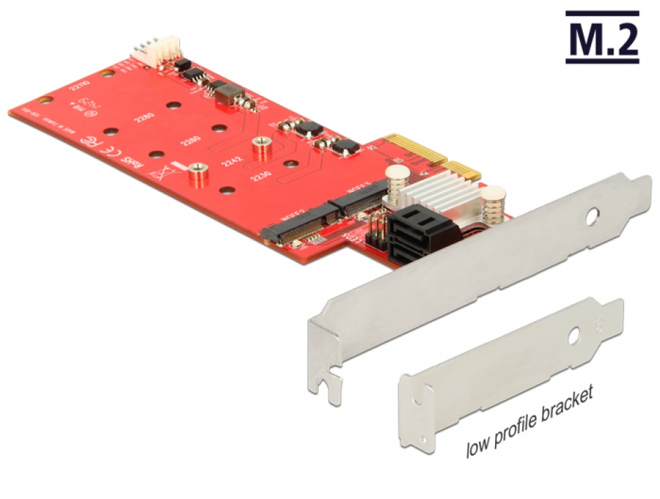 Delock PCIe la 2x M.2 NGFF + 2x SATA RAID