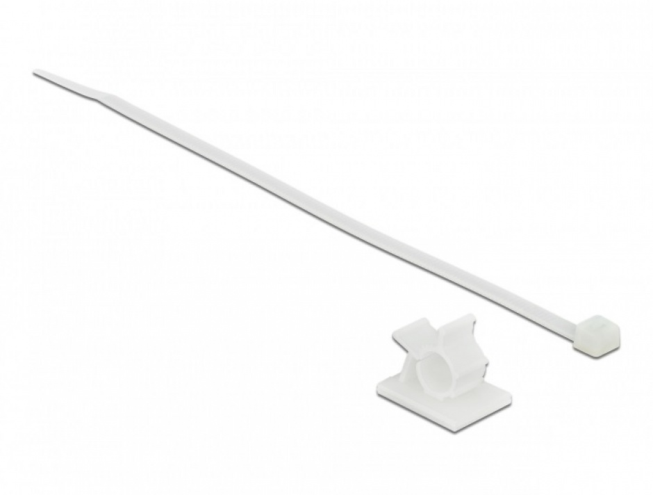 Set Organizare Cabluri Delock 10 Bride + 10 Cleme