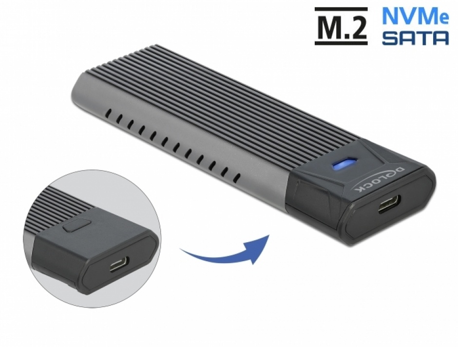 Rack Extern Delock M.2 NVMe/SATA USB 3.2