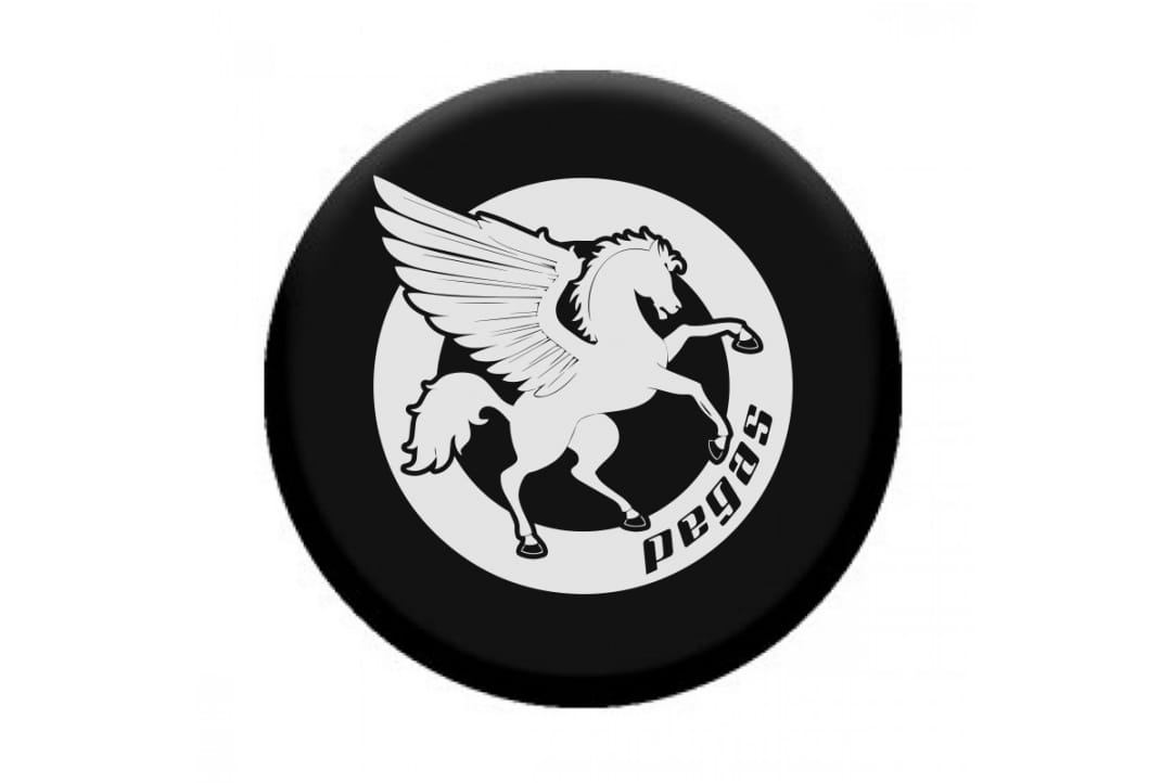 Popsocket Pegas Negru - Suport Telefon Elegant și Funcțional - imagine 6