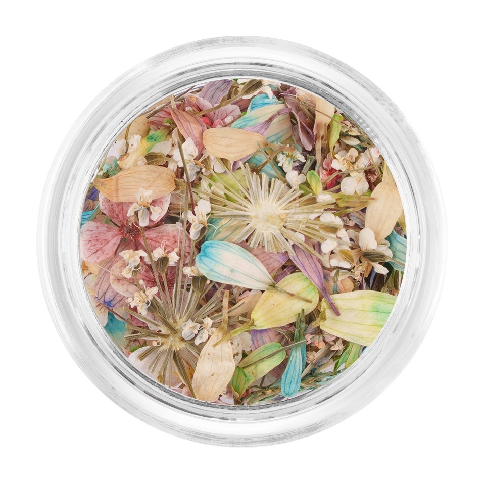 Flori Uscate Unghii LUXORISE Frozen Spring