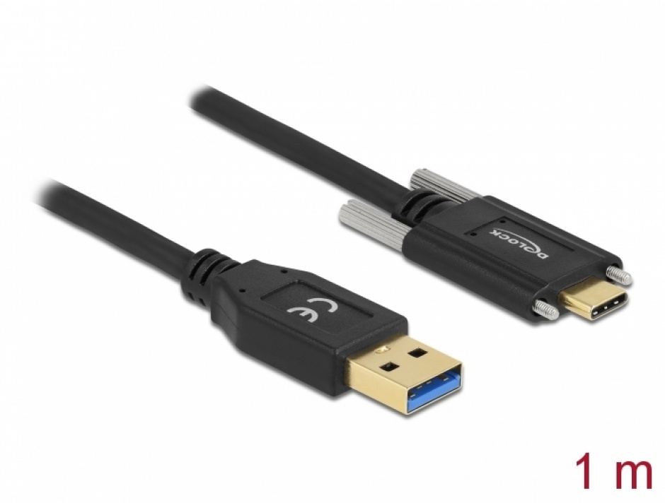 Cablu USB 3.1 Gen 2 A-C cu șuruburi 1m Delock
