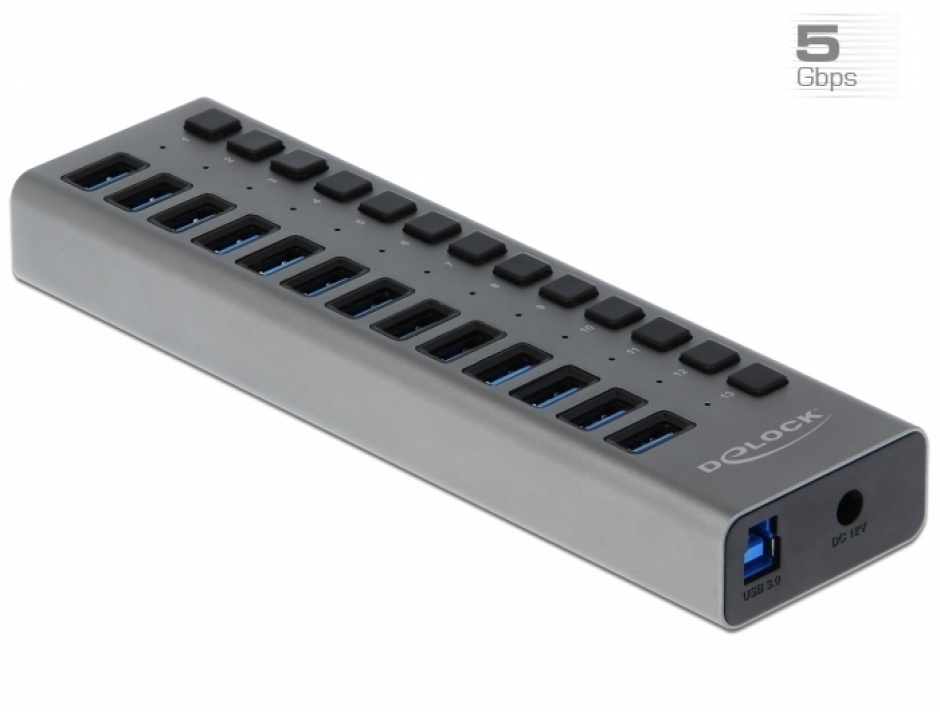 Hub USB 3.0 Delock, 13 Porturi, Switch On/Off