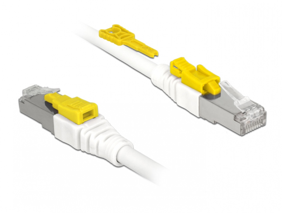 Cablu RJ45 Cat 6A 5m cu blocare Delock