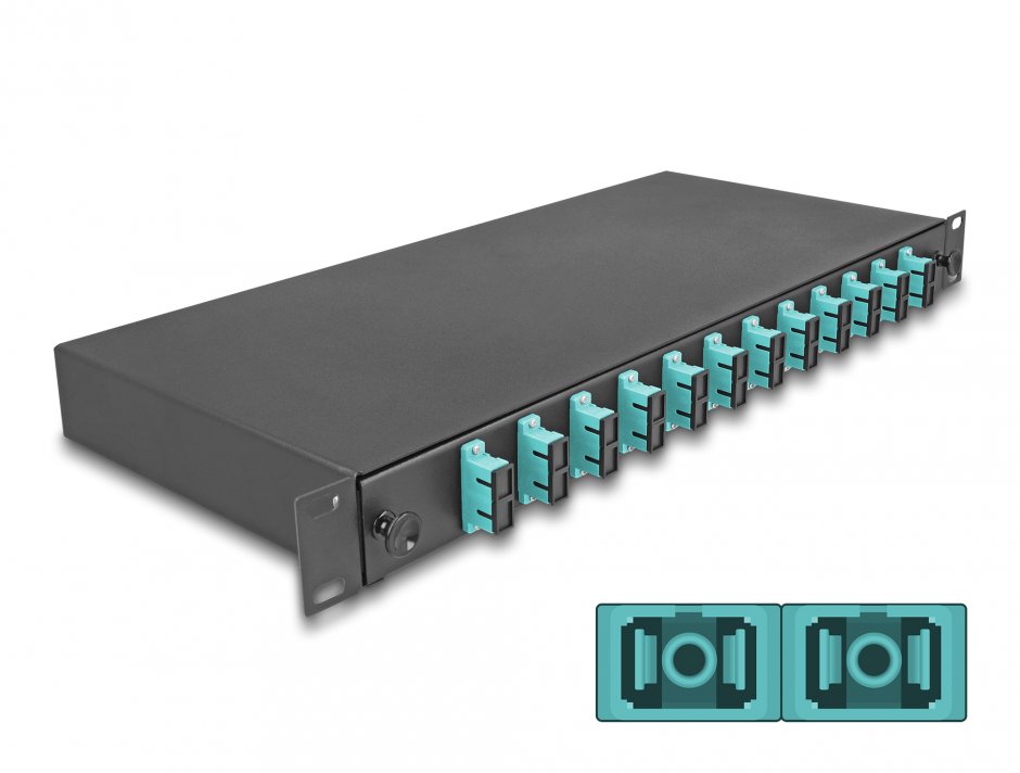 Delock 67007 Box Fibra Optica 19" 1U 12xSC