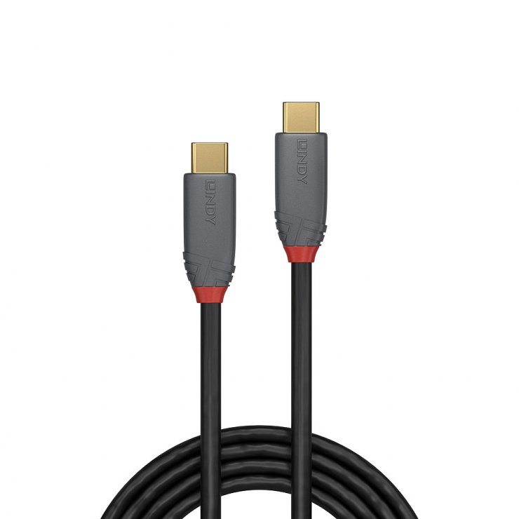 Cablu USB-C 3.2 Lindy 2m, 4K, 100W PD