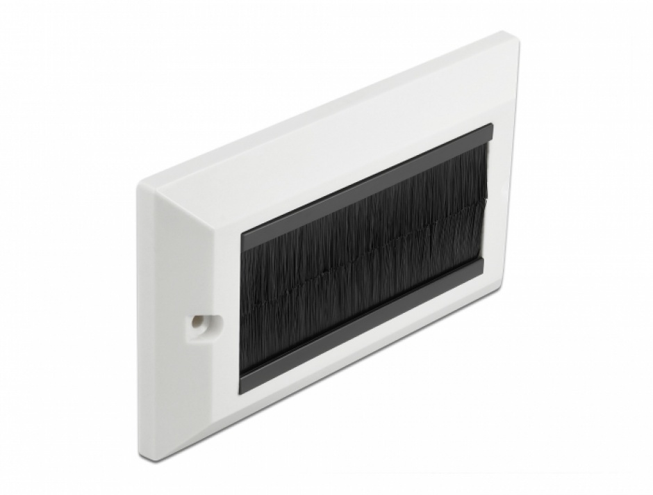 Priza cu perii Delock 66492 | Organizare cabluri