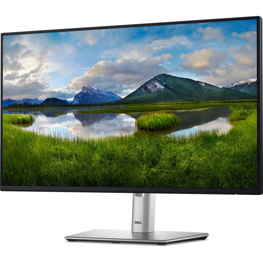 Monitor Dell P2425H 23.8" Full HD 100Hz IPS Profesionist - imagine 12