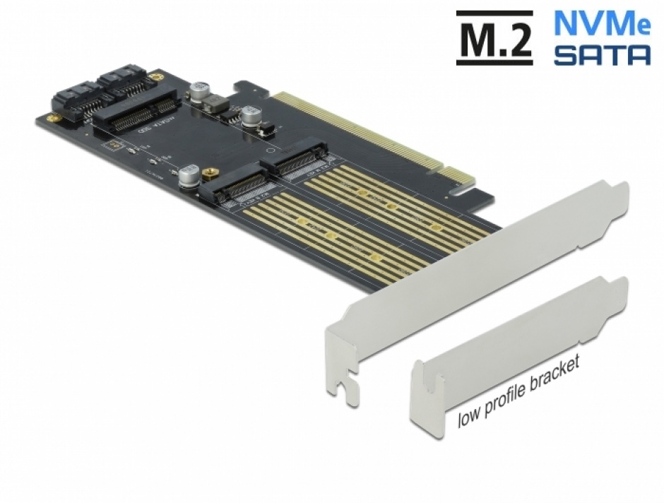 Adaptor PCI Delock 3 Sloturi M.2 si mSATA