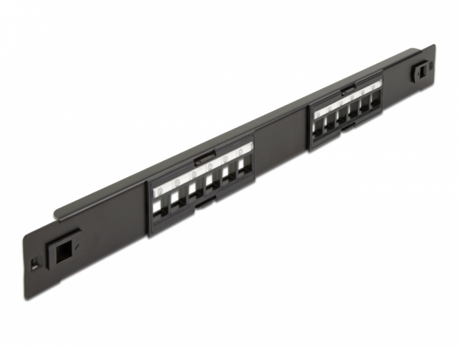 Patch Panel 19" 12 Porturi Delock, Montare Fără Unelte