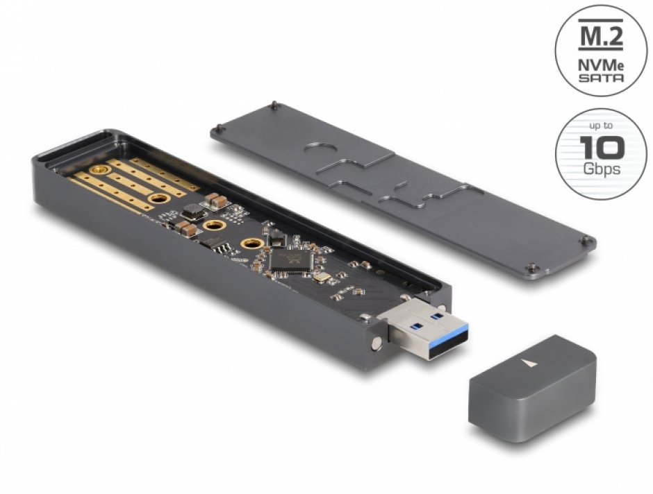 Rack Extern M.2 NVMe/SATA Delock 42021 USB 3.2
