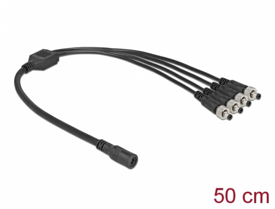 Splitter DC 5.5x2.1mm 1 la 4, Delock, 0.5m