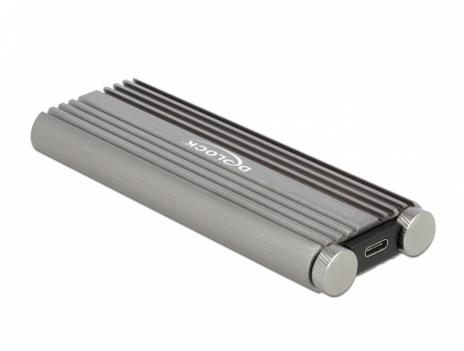 Rack Extern Delock USB 20 Gbps pentru SSD NVMe