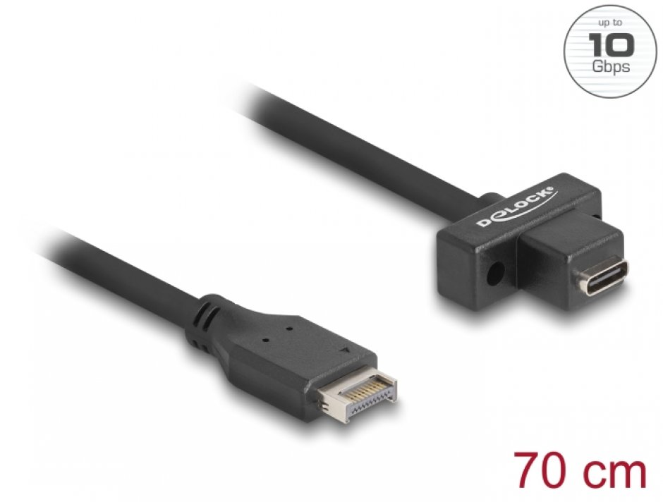 Cablu Delock USB 3.1 Tip E la USB-C 70cm