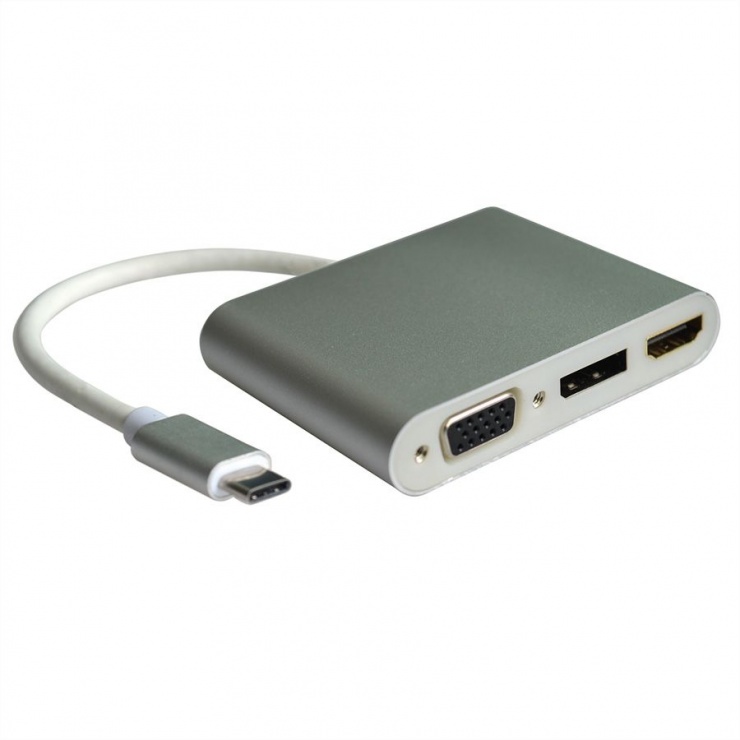 Adaptor USB-C la VGA/HDMI/DP Roline 4K