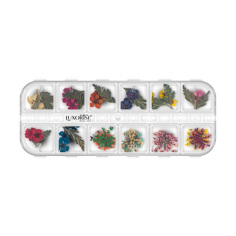 Flori Uscate Unghii LUXORISE Flower Serenade, 12 modele