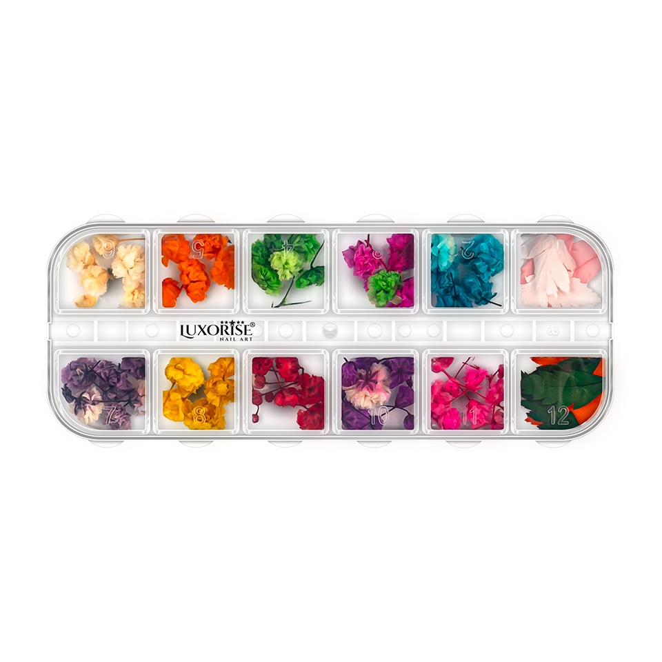 Flori Uscate Unghii LUXORISE Rainbow Bloom