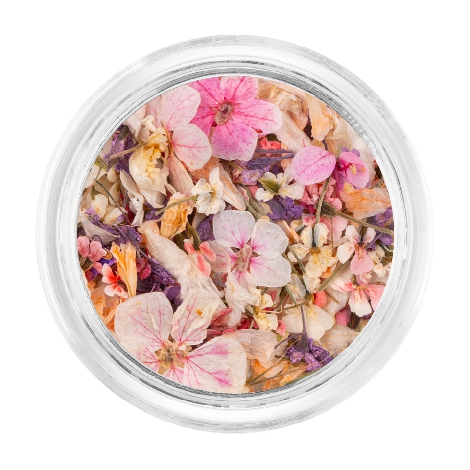 Flori Uscate Unghii LUXORISE Magic Meadow - Design Natural
