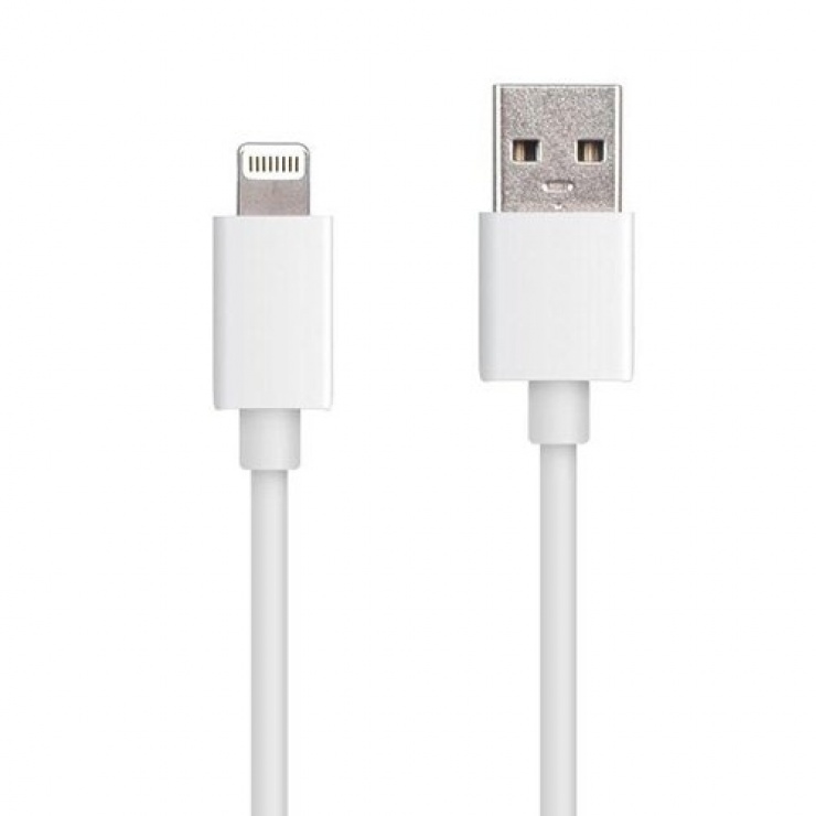 Cablu Lightning iPhone 3m Alb OEM