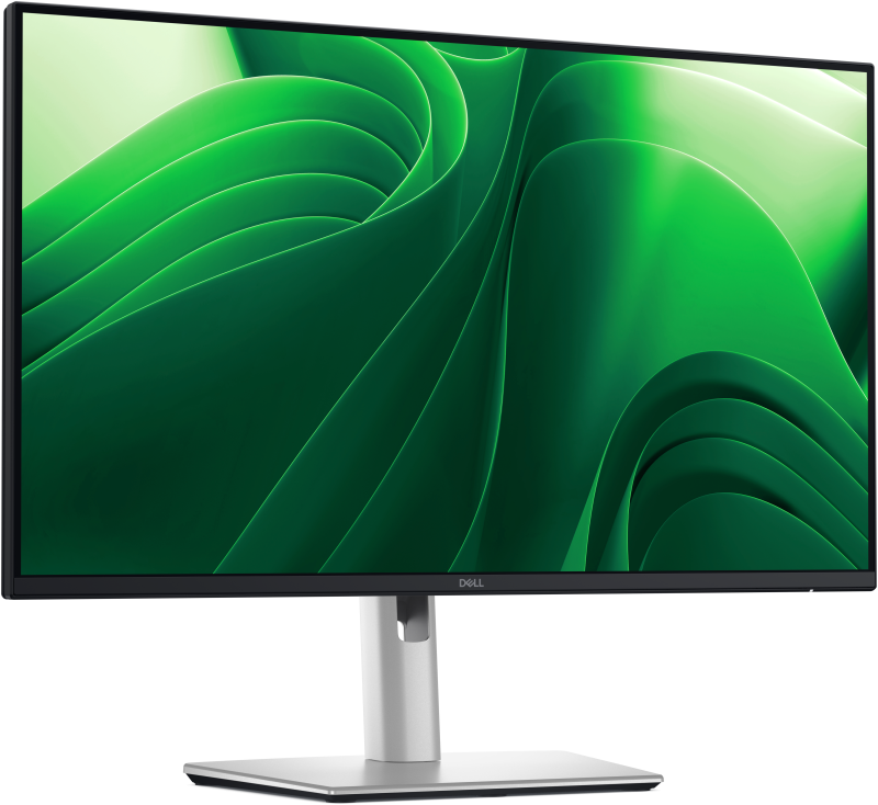 Monitor Dell 24" P2425D QHD IPS 100Hz - Profesional