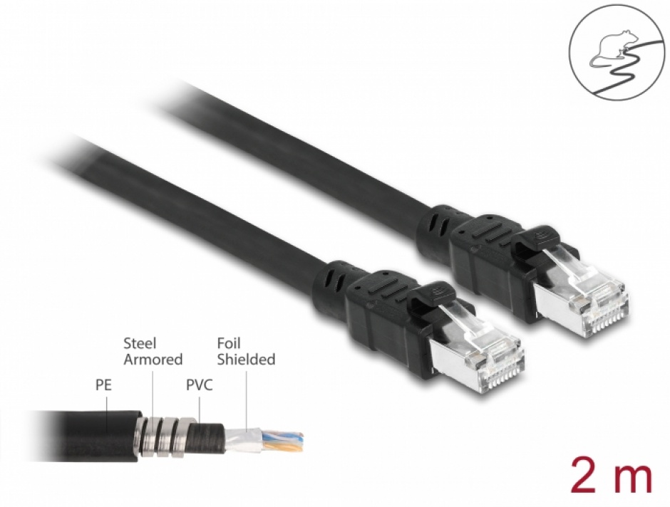 Cablu RJ45 Cat.6A FTP 2m Delock, Protejat Metalic